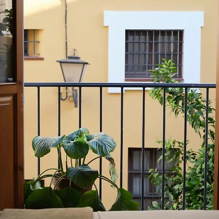 Sweet Seville